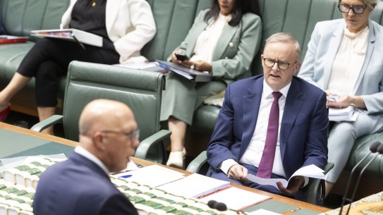 Opposition Leader Peter Dutton and Prime Minister Anthony Albanese during question time.