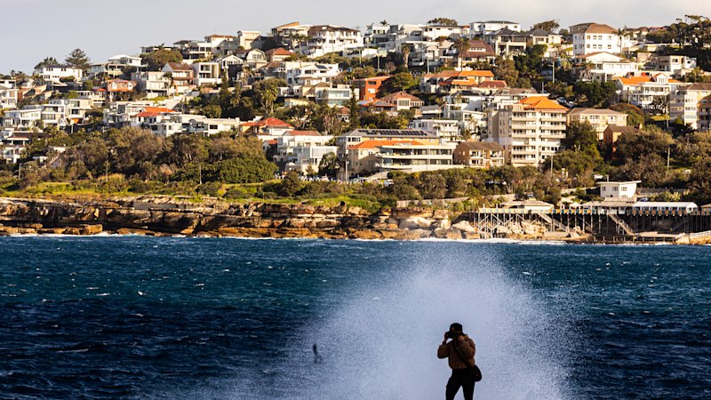 Best Property News From the Herald