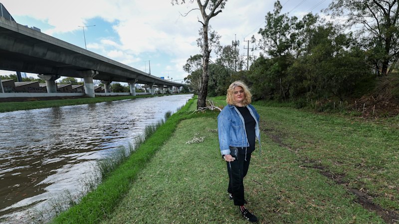 ‘Locked up behind chain-link fences’: The stand-off stalling this open space