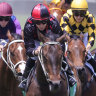 Street Power, pictured winning a Highway at Newcastle in November, is the top selection for the Country Championships qualifier.