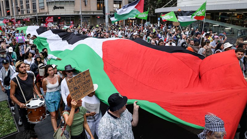 Pro-Palestinian protesters vow they will keep marching despite ceasefire