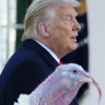 First Trump pardons the turkey, then Flynn, next himself?