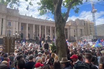 Crowds outside Parliament House at the Melbourne protest on November 20.