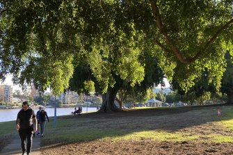 While some Brisbane parks and playgrounds have good shade cover from mature trees, there are about 150 parks still in need of adequate shade cover.