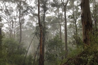 Tourists prize Denmark for its forests, coastline and produce. 