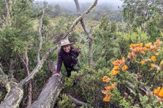 Georgia Davis, from the WWF-Australia, joined other volunteers searching for rare subalpine plants in Namadgi National Park in March.