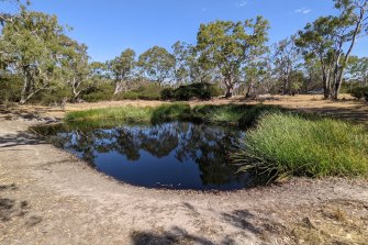 About 15 minutes’ drive out of Harrow in western Victoria, this waterhole is where Indigenous cricketer Johnny Mullagh lived for most of his final years.