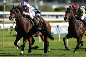 The Best 30 1 Shot I Ll Ride In A Group 1 Etah Proves Boss Right
