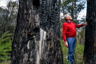 Former CSIRO bushfire researcher David Packham, who is one of a group of residents lobbying for more planned burns.
