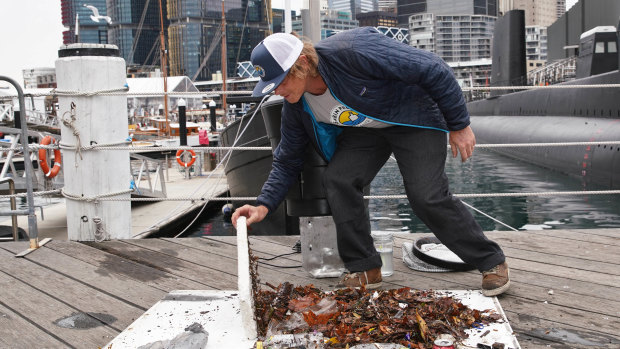 Seabin Project's Pete Ceglinski demonstrates how much waste a Seabin collected overnight near the Australian National Maritime Museum.