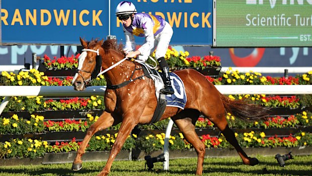 Quantum Cat claimed his first win in Australia at Randwick on Saturday.