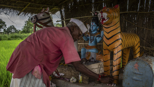 Mahadeo Baburao Irpate, a farmer, built a shrine to a tiger that died when it touched an electric fence he had put around his rice fields, in Kothulna, India.