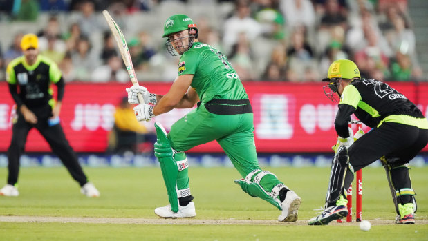 Glancing blow: Marcus Stoinis guides a  ball to fine leg during his inning for the Stars.