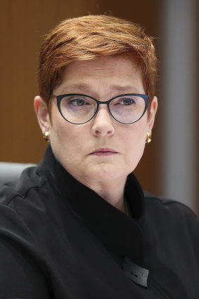 Foreign Minister Marise Payne says Bashir's release will be distressing for Australian families.