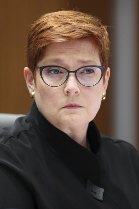 Minister for Foreign Affairs Marise Payne labelled the incident as ''grossly disturbing'' and ''offensive''. 