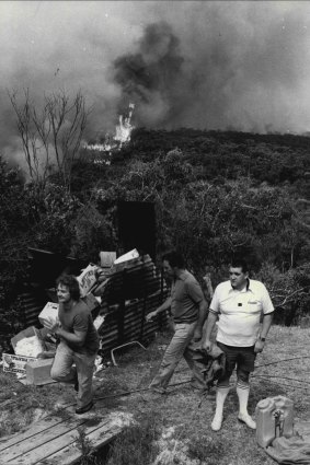 "Volunteers man garden houses as the fire approaches the Kamerigal Restaurant, Morgan Road, Belrose." December 17, 1979. 