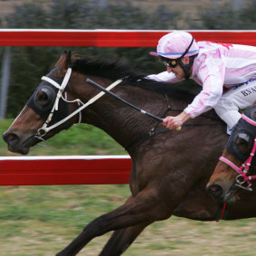 Provincial-based stables are targeting a big day at Muswellbrook on Monday.