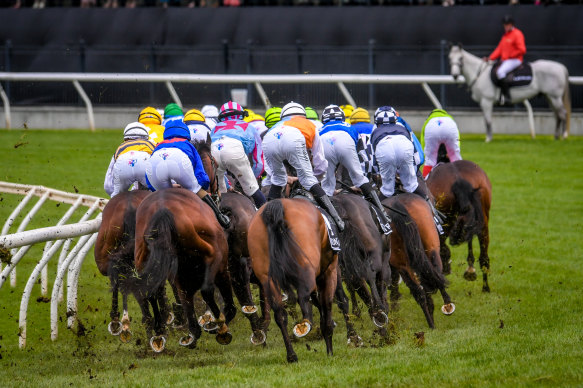 The Melbourne Cup field makes its way out of the straight last year.