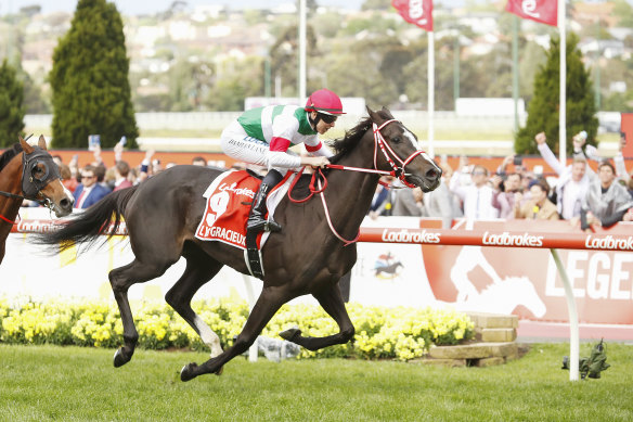 Jockey Damian Lane and Lys Gracieux win the 2019 Cox Plate.