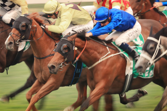 A tightly-fought heat of the stayers series will headline Tuesday's eight-race card at Wagga.