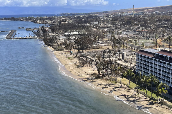 Burnt areas in Lahaina on the Maui island, Hawaii.