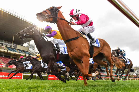 Superstorm, ridden by Damien Oliver, wins the Feehan Stakes at Moonee Valley on Saturday.