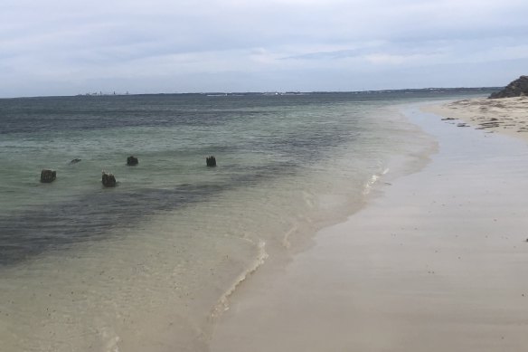 Old pylons that once supported a slipway for whalers’ boats at The Convincing Ground, the site of Victoria’s first massacre of Aboriginal people, near Portland. 