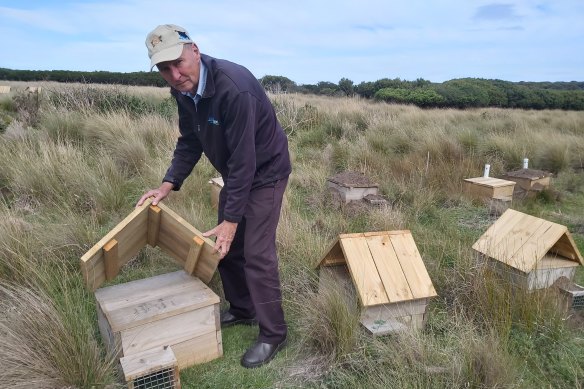 Dr Peter Dann, with an artifical burrow designed to keep penguins cooler during global warming. 