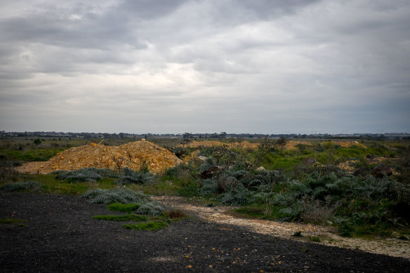 Conservation Area 9 should be protected but has been “completely obliterated” by dumped spoil.