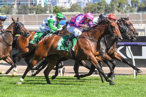 Nicolini Vito launches down the outside to win at Flemington last month.