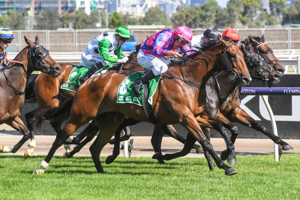 Nicolini Vito starts from the outside to win at Flemington last month.