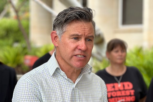 Greens leader Brad Pettitt.