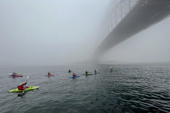 The heavy fog didn’t deter canoeists at Milsons Point on Saturday morning.