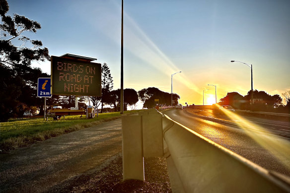 A sign warns motorists at Phillip Island to look out for birds.