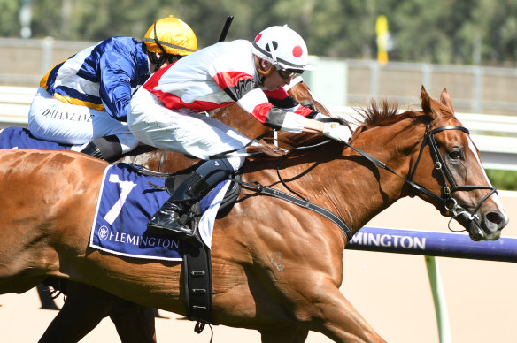 Pinstriped is a $51 chance at Rosehill on Saturday.