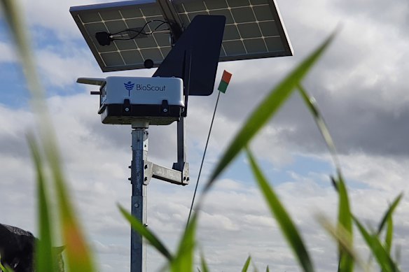 BioScout’s devices automatically detect fungal spores in the air to warn farmers about impending disease. They could be used to better measure airborne mould in homes.