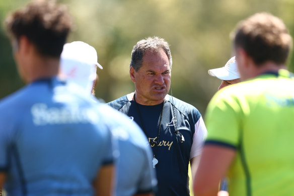 Coach Dave Rennie is under pressure to get the Wallabies firing. 