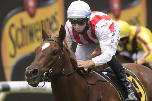 Four Moves Ahead is the only unbeaten runner in Saturday’s Golden Slipper.