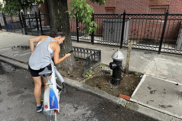 Georgia Ramirez Wright stops riding her bike to take a photo of goldfish swimming in a tree pit filled with water pooling from a leaking fire hydrant.
