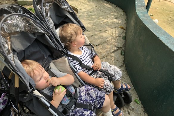 The twins were asleep within minutes of arrival at the city's bird park.