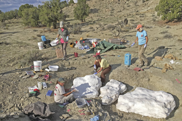 Researchers prepare fossils to be airlifted from the Rainbows and Unicorns Quarry on Grand Staircase-Escalante National Monument to the Paria River District paleontology lab in Kanab, Utah.