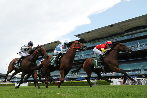 King Of Sparta wins the Expressway Stakes at Randwick in February 2024.