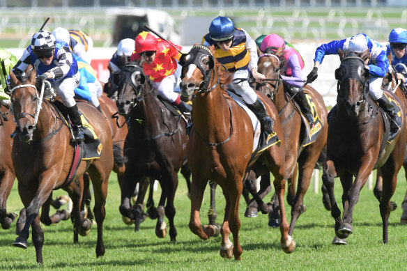 Gallic Chieftain charges away with the Chairman's Handicap on a soft Randwick  last year