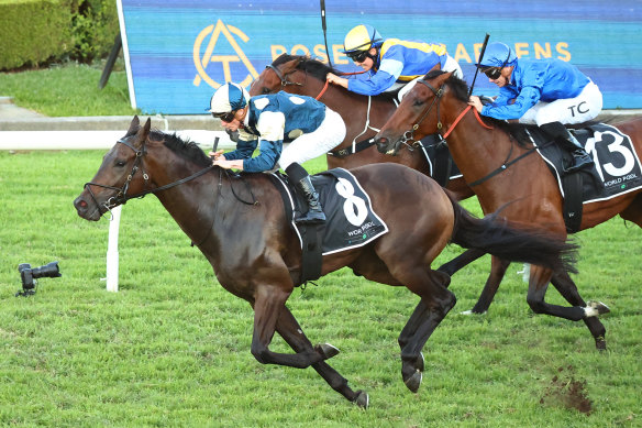 Hollywood Hero (third, blue silks) caught the eye last start at Rosehill and looks well placed second-up at Canterbury on Wednesday.