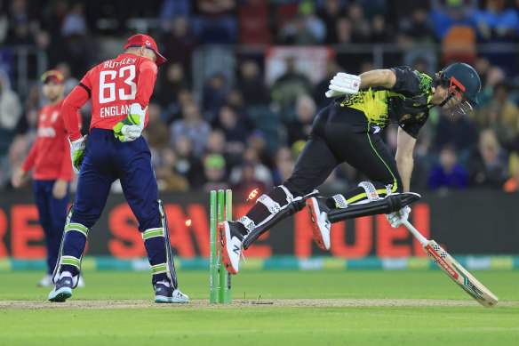 Mitch Marsh makes it to the crease just in time at Manuka Oval.