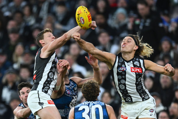 Darcy Moore flies to spoil.