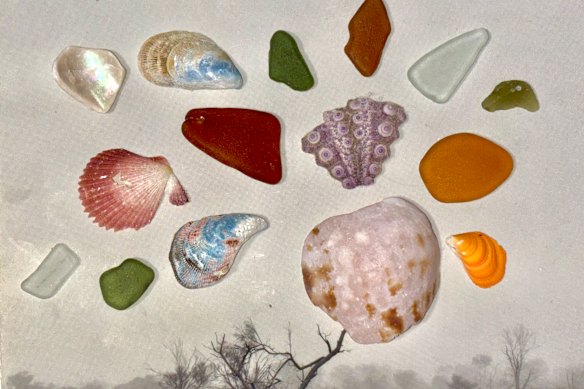 McGuire’s beachcombings.