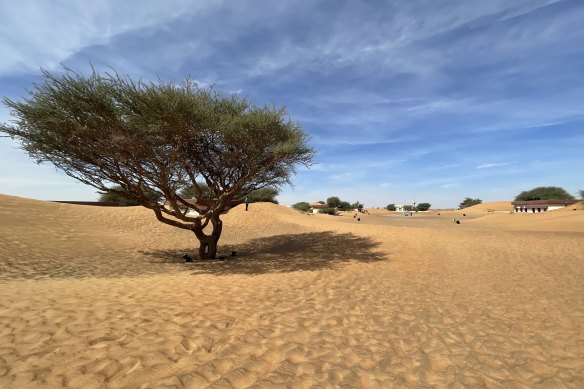 The abandoned desert village of Al Ghuraifa outside Dubai.