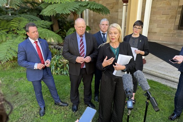 Crossbench representatives Nick Dametto (KAP, Hinchinbrook), Shane Knuth (KAP, Hill), Robbie Katter (KAP, Traeger), Sandy Bolton (Independent, Noosa) and Amy MacMahon (Greens, South Brisbane) hold a joint press conference on Tuesday.