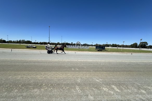Hilly is in a world his own as he takes a walkover victory at Leeton on Friday.